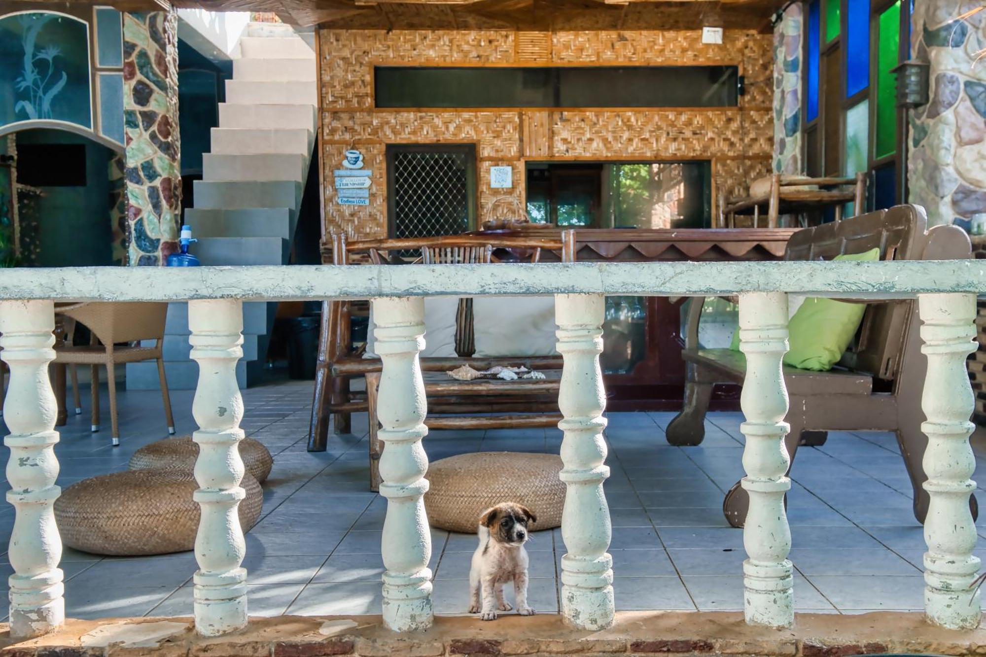 Pilar Pilapil Beach Resort Daanbantayan Екстер'єр фото